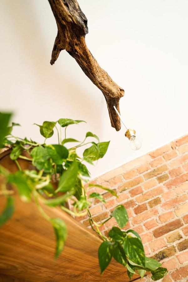 Altstadt Apartments Neuruppin Ngoại thất bức ảnh